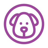 mascotas